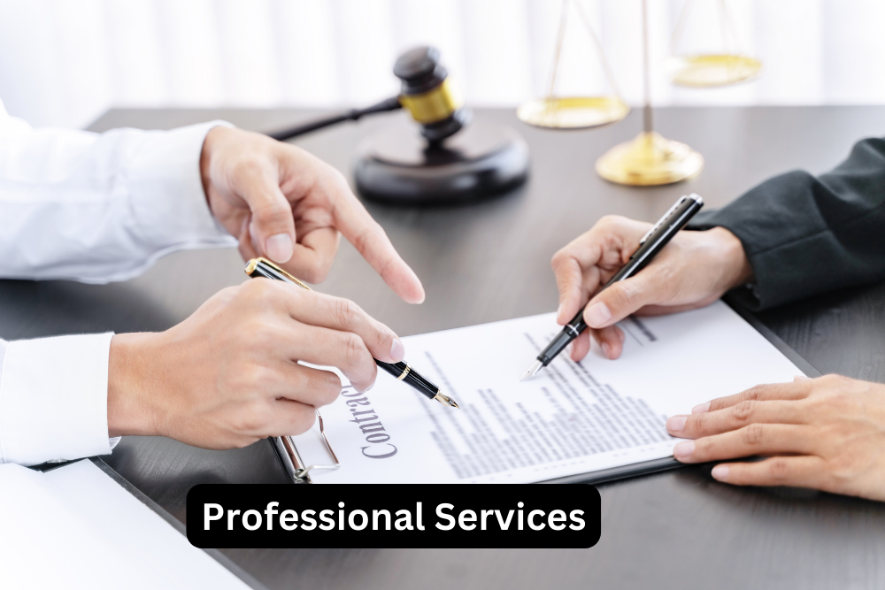 Professional Services