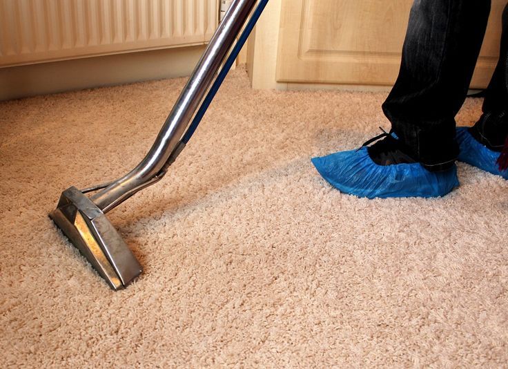 Carpet Cleaning Services in Brooklyn