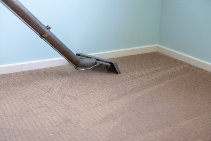 Carpet Cleaning Services in Brooklyn