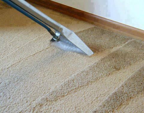 Carpet Cleaning Services in Staten Island