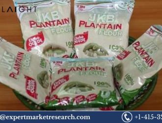 Global Plantain Flour Market