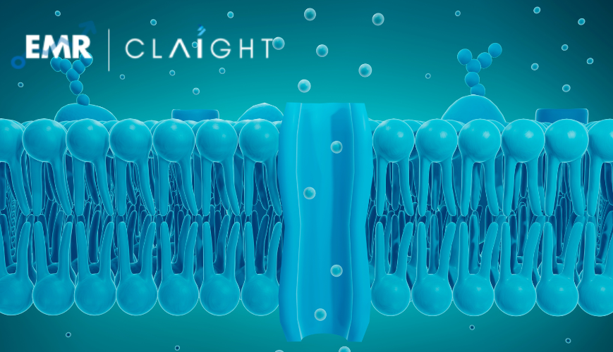 Ion Exchange Membrane Market Growth