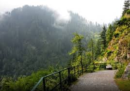 Luxury Hotel in Murree