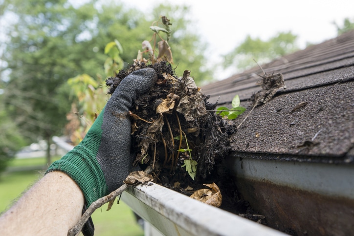 Roof and Gutter Cleaning in San Antonio