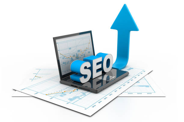 SEO Services Delhi