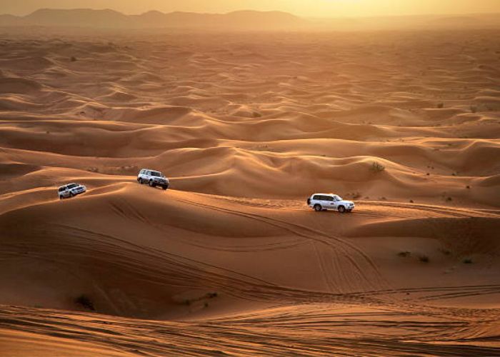 Top Desert Adventures in Dubai From Dune Bashing to Camel Rides (1)