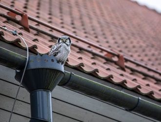 roofing and gutter