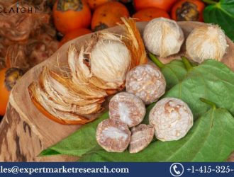 Areca Nut Market