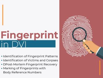 Fingerprint DVI