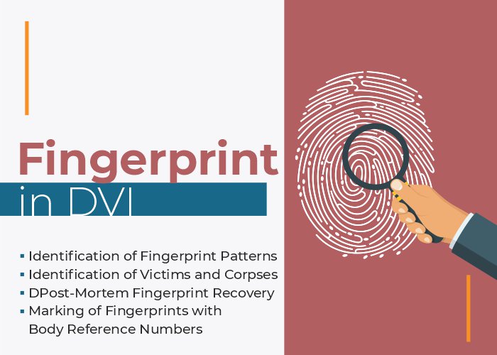 Fingerprint DVI