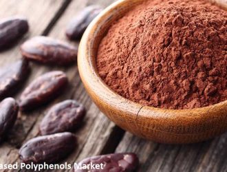 Global Cocoa Based Polyphenols Market