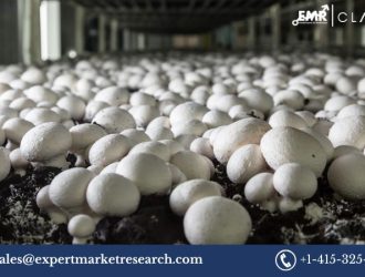 Mushroom Cultivation Market