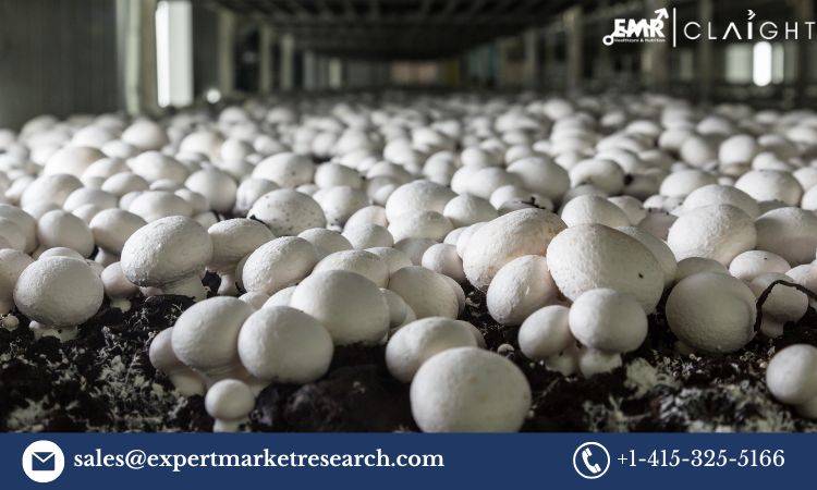 Mushroom Cultivation Market