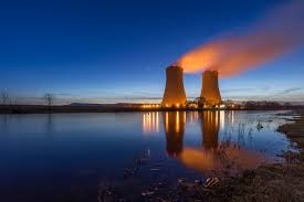 Plant life Extensions (PLEX) and Plant Life Management (PLIM) for Nuclear Reactors Market