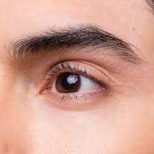 men's eyebrow shaping