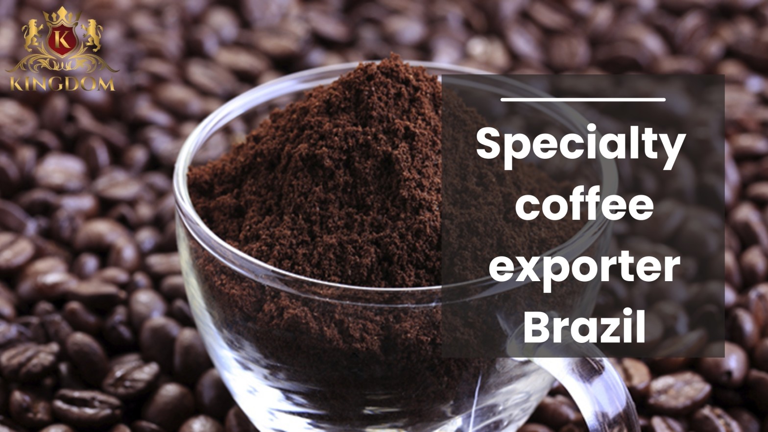 specialty coffee exporter brazil (2)