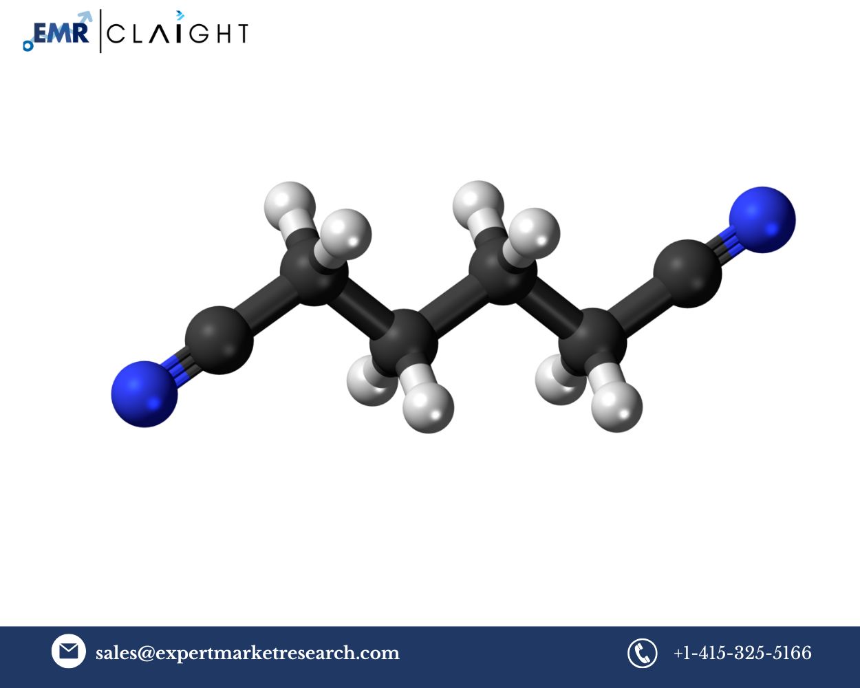 Adiponitrile Manufacturing Plant Project Report (1)