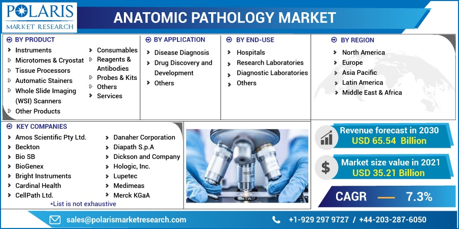 Anatomic-Pathology-Market