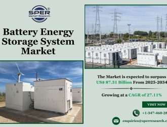 Battery Energy Storage System Market