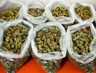 Buy bulk weed canada