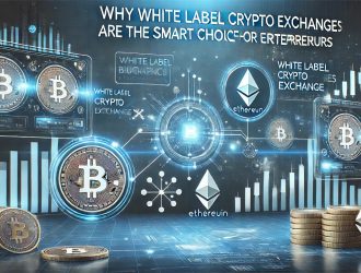 DALL·E 2025-02-14 10.23.24 - A modern and professional feature image for a blog about white label crypto exchanges. The image should include futuristic blockchain elements, digita