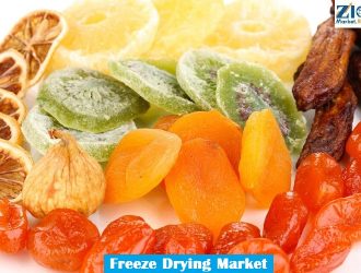 Freeze Drying Market