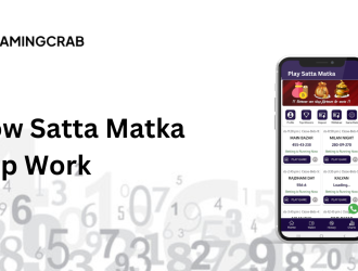 How Satta Matka App Work (2)