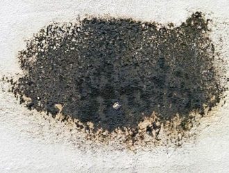 How To Properly Remove Black Mold