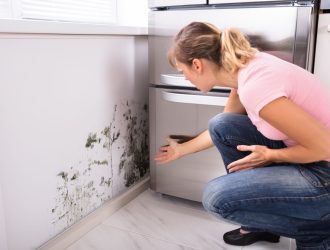 How To Safely Remove Mold From Walls