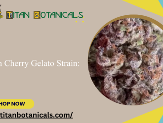 Lemon Cherry Gelato Strain