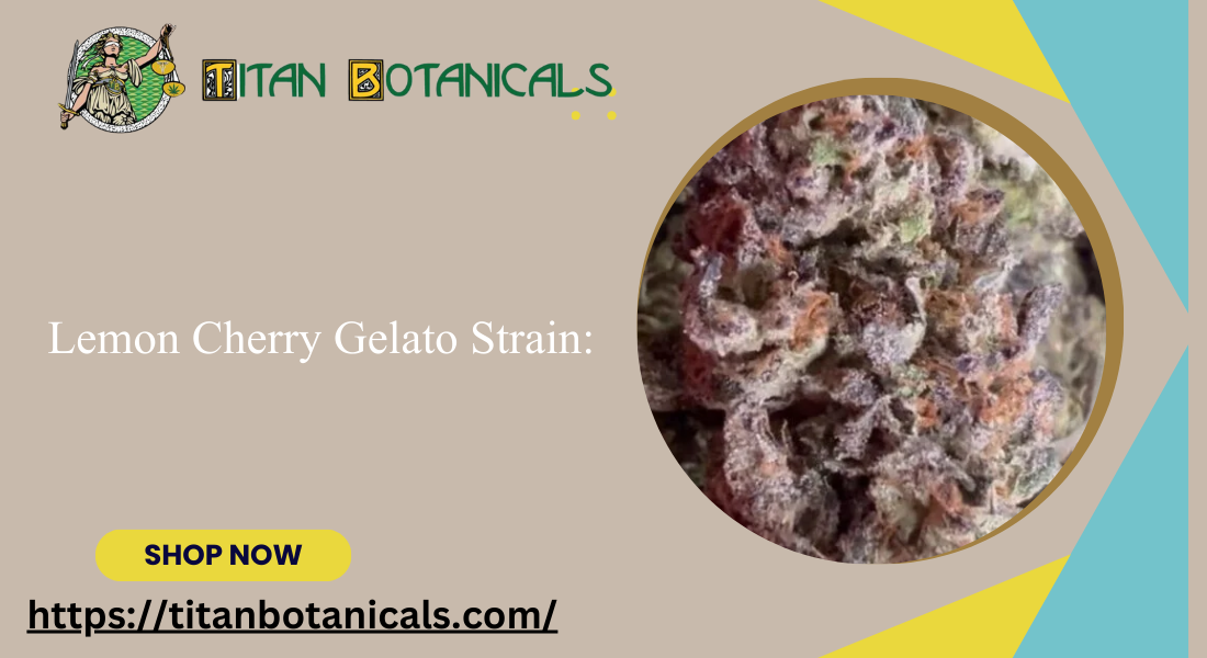 Lemon Cherry Gelato Strain