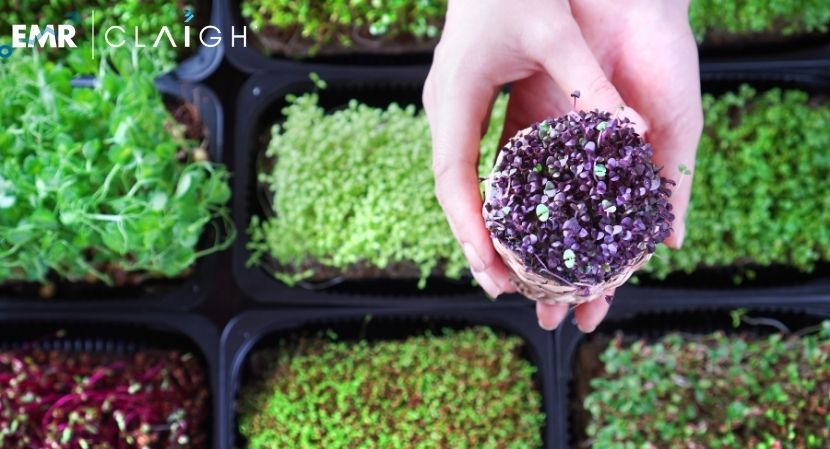 Microgreens Market