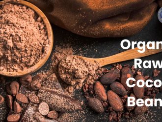 Organic Raw Cocoa Beans