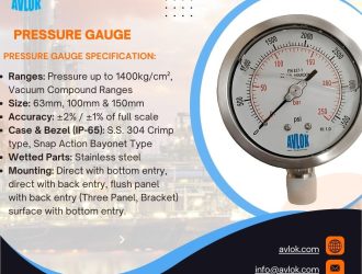 Pressure Gauge (2)