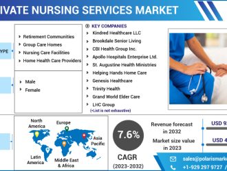 Private Nursing Services Market