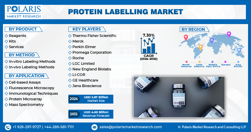 Protein Labelling Market info (1)