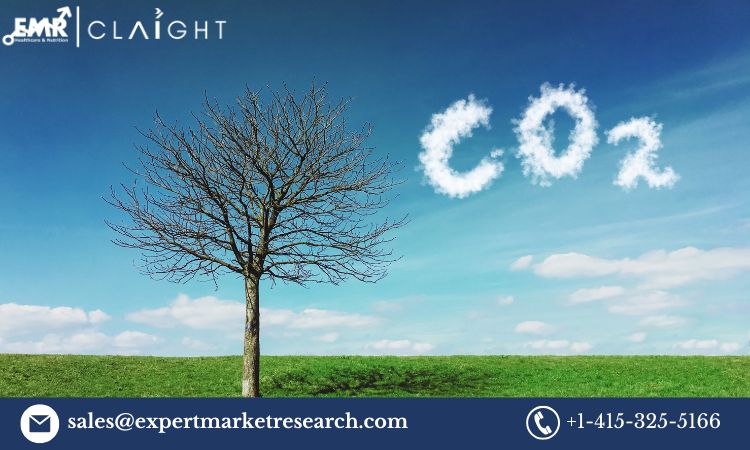 United Kingdom carbon dioxide (CO2) market