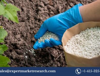 Water-soluble Fertilizers (WSF) Manufacturing Plant Project Report