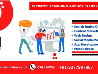 Website Designing Agency in Delhi (2)