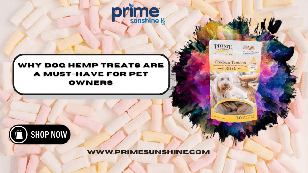 Why Dog Hemp Treats Are a Must-Have for Pet Owners (1)