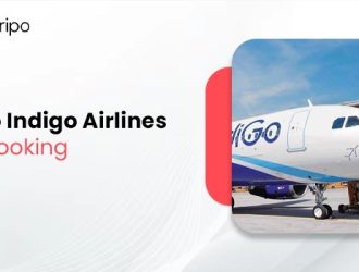 guide-to-inIndigo Airlines Group Bookingdigo-airlines-group-booking1737086124