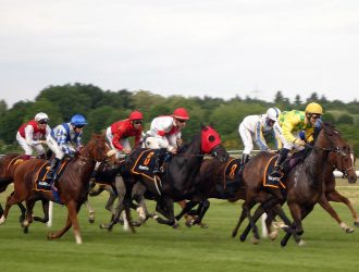 horse-racing-2714850_1280