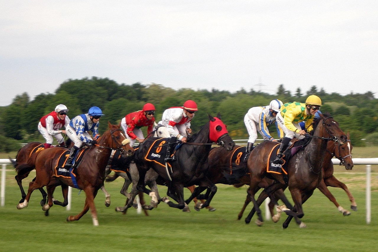 horse-racing-2714850_1280