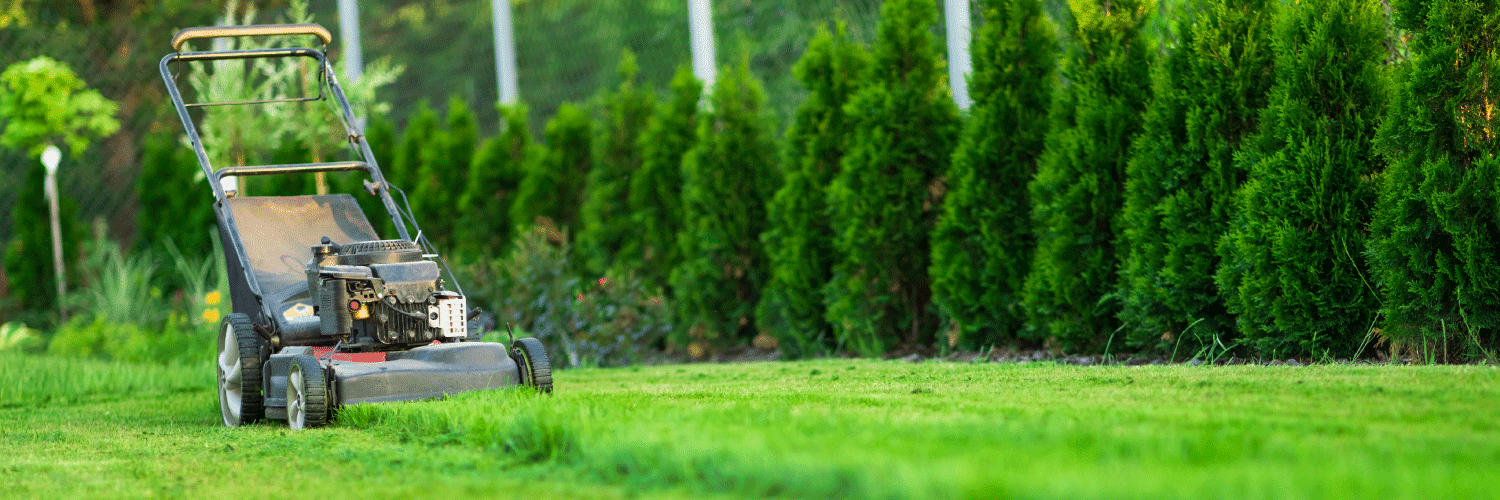 lawn mower recycling