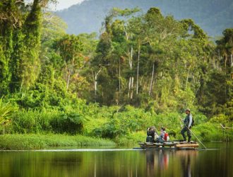 manu-national-park-amazon-06-548