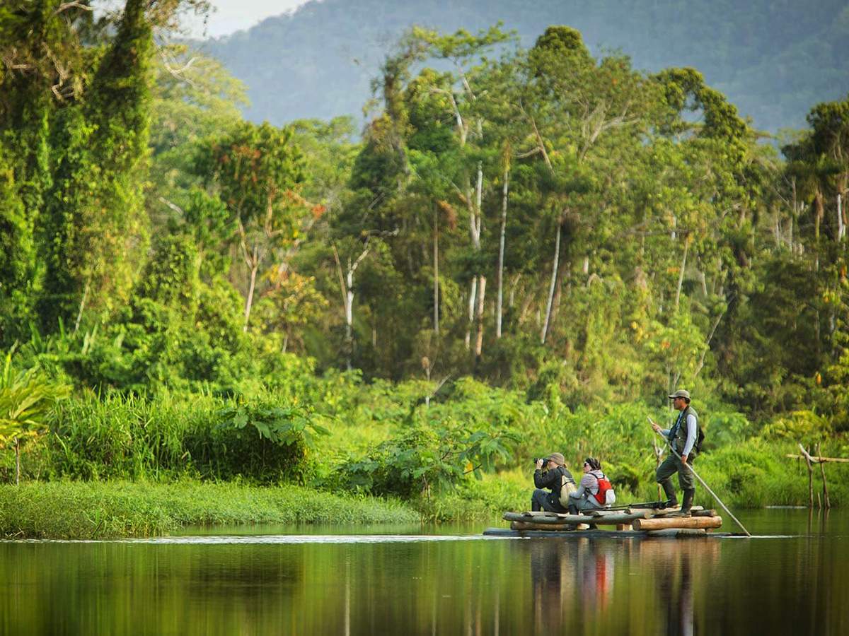 manu-national-park-amazon-06-548