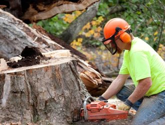 tree-removal-service