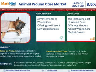 Global Animal Wound Care