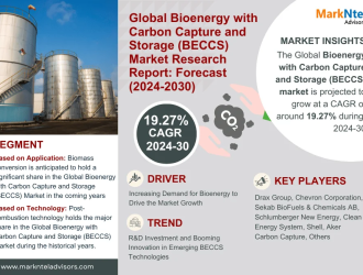 Global Bioenergy with Carbon Capture and Storage (BECCS) Market