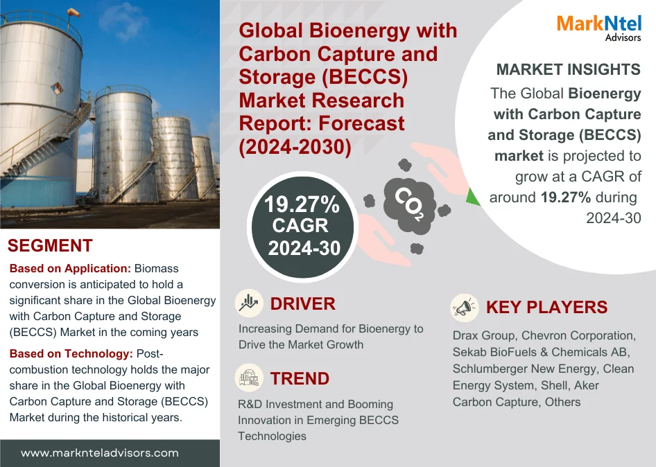 Global Bioenergy with Carbon Capture and Storage (BECCS) Market